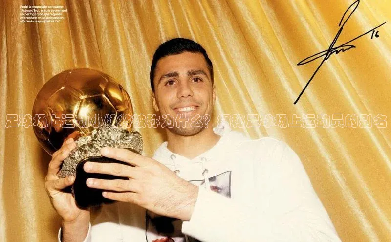 谈球吧体育官网百度集团