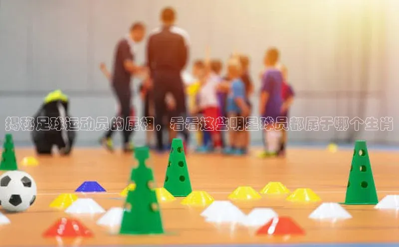 谈球吧.(china)官方网站极氪智能科技