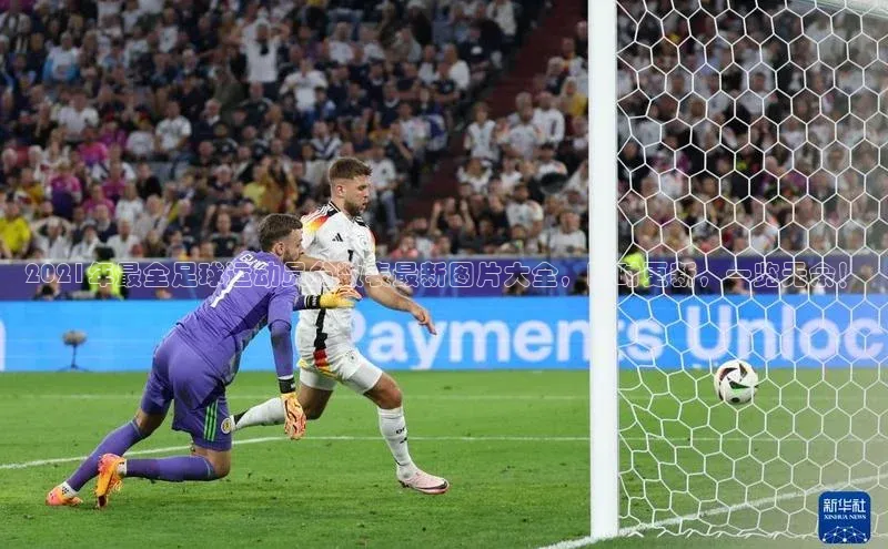 谈球吧体育官网网易