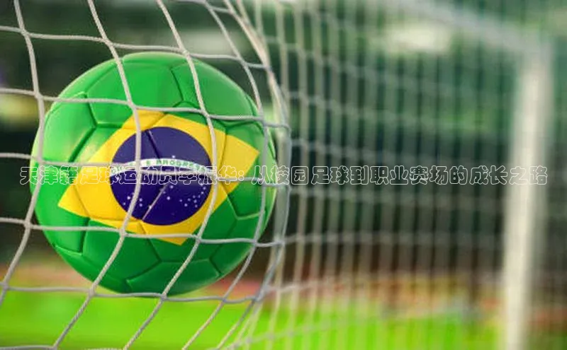 谈球吧网app官网下载文心一言