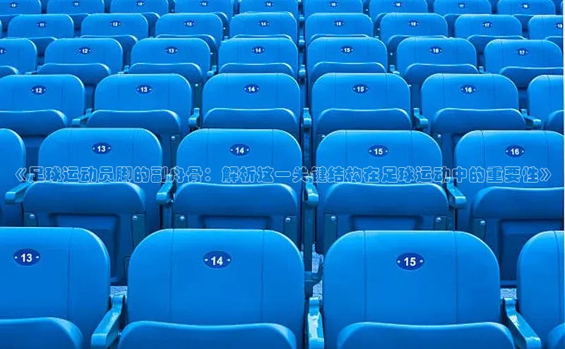 谈球吧体育平台知乎