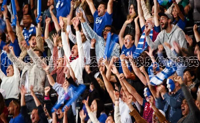 谈球吧网app官网下载如流