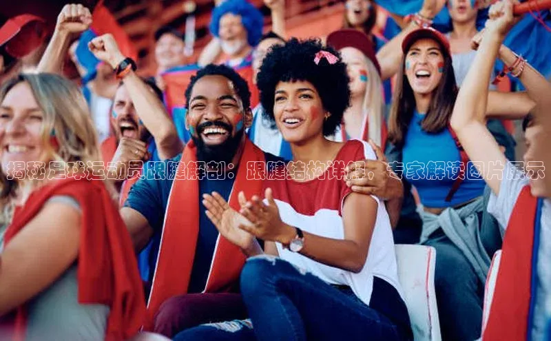 谈球吧体育平台百度 H5