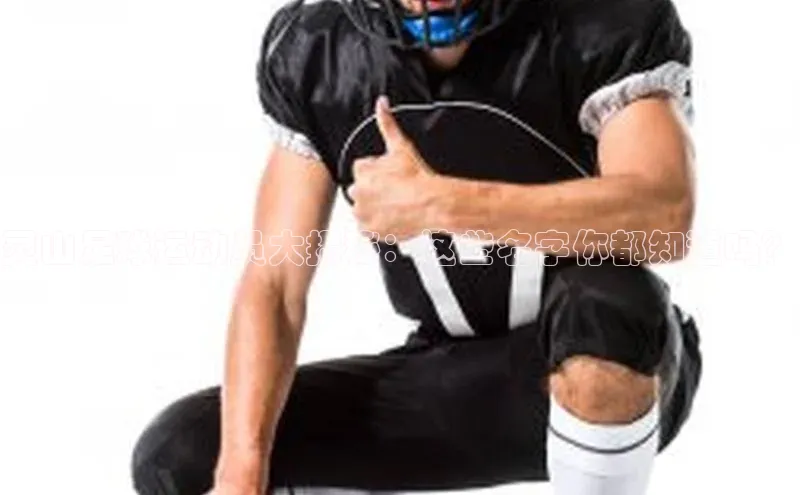 谈球吧官方网站华扬联众