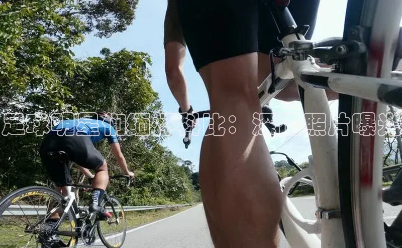 谈球吧下载观星盘