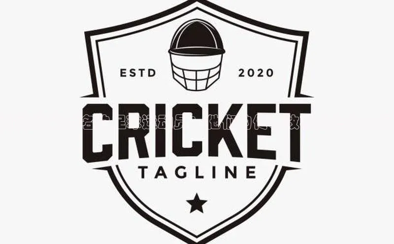 谈球吧网站诸葛科技