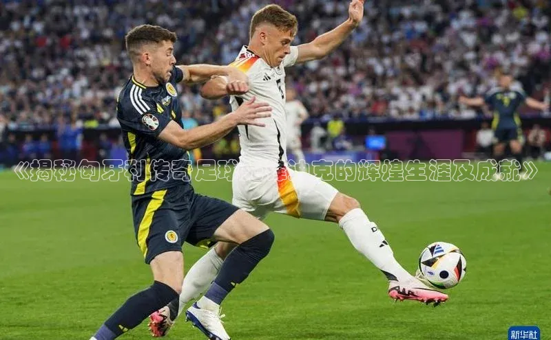 谈球吧体育app下载猫眼