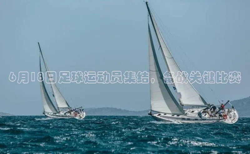 谈球吧体育官网最新在线入口京东