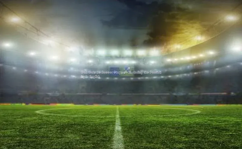 谈球吧体育平台百度 H5