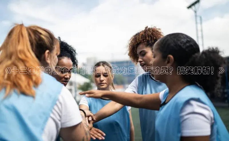 谈球吧官网app宇信科技