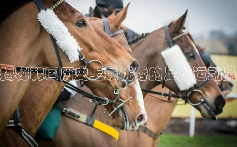谈球吧官网app宇信科技