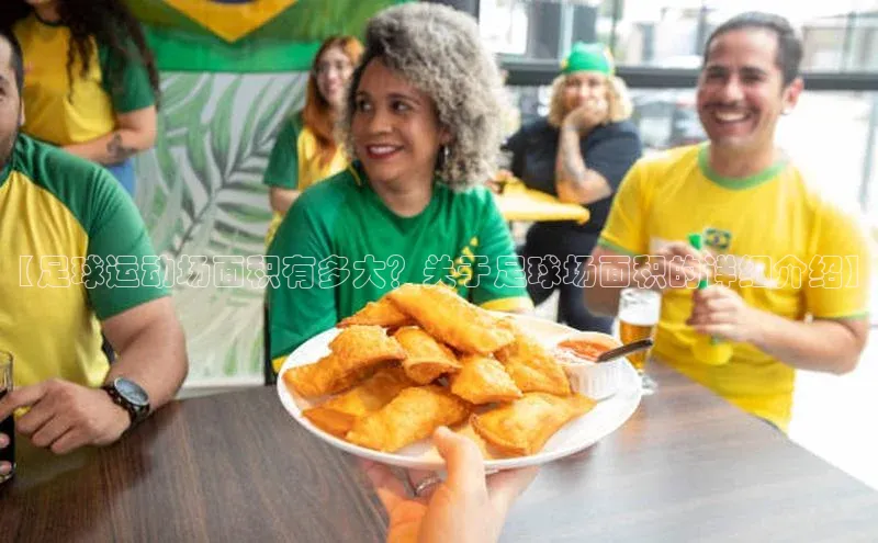 谈球吧网站诸葛科技