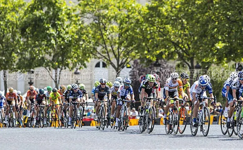 谈球吧(中国)官方网站天键股份