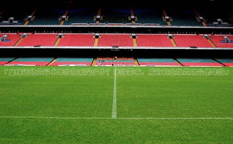 谈球吧网站诸葛科技