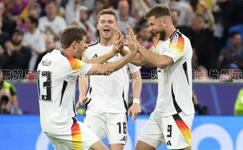 谈球吧网站金山办公