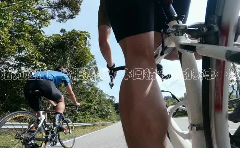 谈球吧(中国)官方网站阿里尔公司