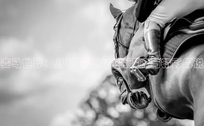 谈球吧网页版在线入口